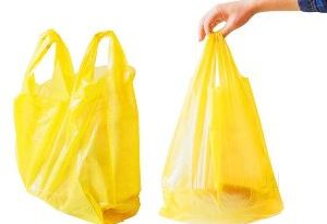 प्लास्टिक कैरी बैग को प्रतिबंधित करने से प्रदेश हो रहा है स्वच्छ