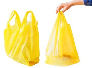 प्लास्टिक कैरी बैग को प्रतिबंधित करने से प्रदेश हो रहा है स्वच्छ