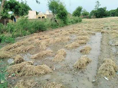 असम – भूस्खलन में लगभग 20 लोगों की मौत