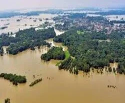 Flood