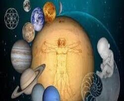 ग्रहों की शांति के लिए लाभकारी हैं ये पौधे