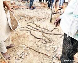 समाचार 4 4 Min 7 |