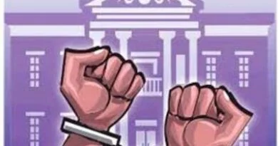 Hapur Cow Slaughter Attempt Arrest: मुठभेड़ के बाद जंगल से दबोचे गए 3 गोकश, जिंदा प्रतिबंधित पशु और हथियार बरामद