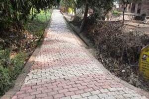 गरीब महिलाओं को रोजगार परक प्रशिक्षण देने में डूडा विभाग फेल गरीब महिलाओं को रोजगार परक प्रशिक्षण देने में डूडा विभाग फेल