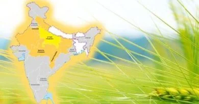 प्रदेश सरकार द्वारा किसानों को गुणवत्तायुक्त बीज, खाद, कृषि रक्षा रसायन उपलब्ध कराने से फसलोत्पादन में हुई बढ़ोत्तरी 4 Agriculture |