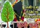 इन पत्तों के बिना अधूरा रहता है पूजा-पाठ..