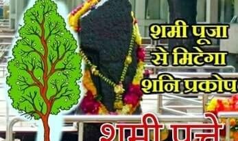 इन पत्तों के बिना अधूरा रहता है पूजा-पाठ..