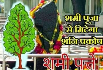 इन पत्तों के बिना अधूरा रहता है पूजा-पाठ..