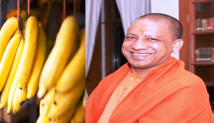 फूड प्रोसेसिंग से तैयार केले के पापड़, चिप्स और आचार की धूम रही