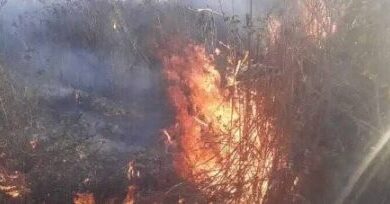 सेंचुरी में आग लगने से सैकड़ों बीघा जंगल हुआ राख, घंटों बाद पाया आग पर काबू