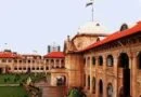 Allahabad High Court Namaz On Public Land Verdict: सार्वजनिक भूमि पर नमाज का विशेष अधिकार नहीं, संभल इकौना मामले में हाईकोर्ट का अहम फैसला