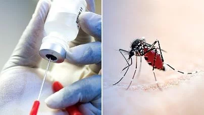 Malaria