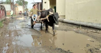 1 News 6 |