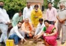 भारतीय जनता पार्टी जिला कार्यालय पर पौधारोपण किया