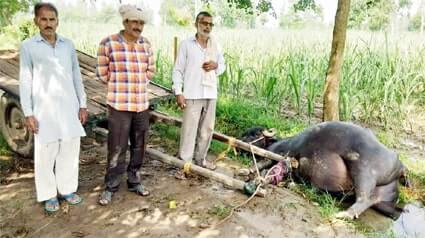 समाचार 4 4 Min 14 |