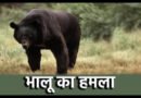 Bhalu |