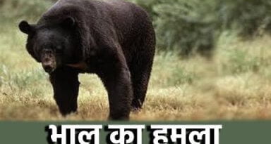 अहुगीकलां और वीरपुर गांव में जंगल से भटककर पहुंचा भालू, चार लोगों को किया घायल