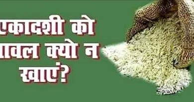 Ekadashi के दिन क्यों नहीं खाते चावल ? 6 Ekadshi News |