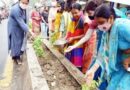 बिन्दल बाजार में वृक्षारोपण करते हुए पर्यावरण के प्रति जागरूक किया