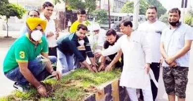 उत्तर प्रदेश उद्योग व्यापार संगठन रजि द्वारा पौधारोपण 3 7 News 14 |