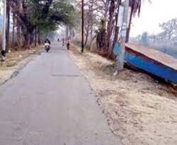 गंगनहर के दूसरी ओर भी सड़क का निर्माण किया जाएगा, पेड़ चिह्नित कर कटान का प्रस्ताव