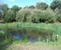 बेटियों के नाम से होगी तालाबों की पहचान: ग्रामीणों में जोश पैदा करने के प्रयास