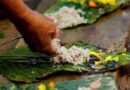 Panchbali Bhog In Pitru Paksha : पितृपक्ष में क्यों जरूरी है पंचबली भोग?