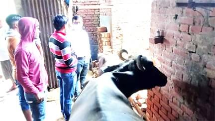 समाचार 5 12 Min 9 |