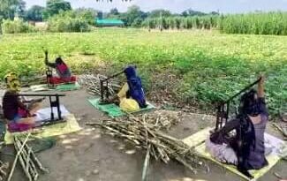 Mission Shakti: गन्ना बीज उत्पादन में लगी 3509 महिलाओं ने तैयार की 9 लाख से अधिक पौध