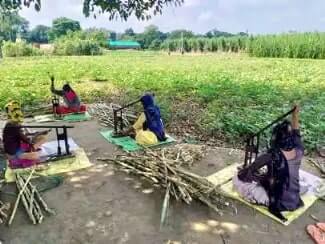 Mission Shakti: गन्ना बीज उत्पादन में लगी 3509 महिलाओं ने तैयार की 9 लाख से अधिक पौध