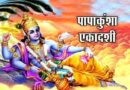 पापाकुंशा एकादशी (Papakunsha Ekadashi): पूजा विधि