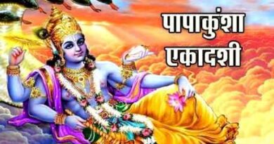 पापाकुंशा एकादशी (Papakunsha Ekadashi): पूजा विधि