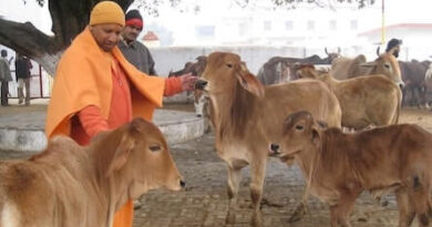 Chief Minister’S निराश्रित गोवंश सहभागिता कार्यक्रम:गोवंश के संरक्षण के लिए कई महत्वपूर्ण कदम उठाएं हैं प्रदेश सरकार ने