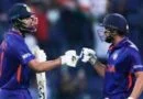 Cricket