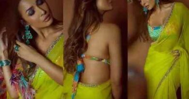   दिवाली के बाद फिर से Malaika Arora ने साड़ी में फैंस पर किया सितम