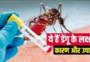 डेंगू बुखार (Dengue Fever) कारण, उपचार तथा बचाव