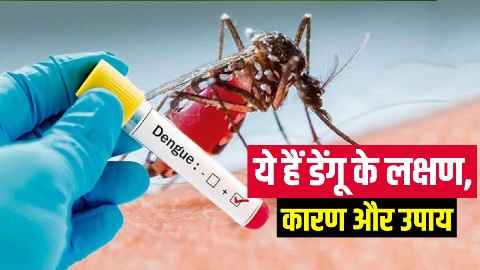 डेंगू बुखार (Dengue Fever) कारण, उपचार तथा बचाव