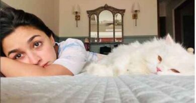 बेहद खूबसूरत है एक्ट्रेस का कमरा, Alia Bhatt ने दिखाई अपने बेडरूम की झलक