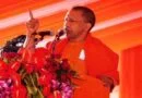 Yogi