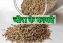 Benefits Of Cunews Seeds: प्रकृति के अद्भुत वरदानों में से 1 वरदान है जीरा -Health Care?