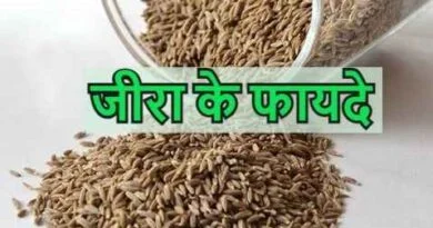 Benefits Of Cunews Seeds