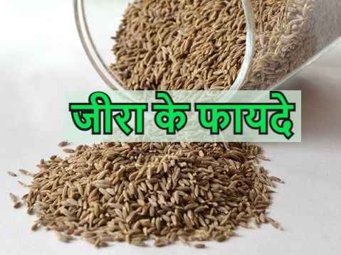 Benefits Of Cunews Seeds: प्रकृति के अद्भुत वरदानों में से 1 वरदान है जीरा -Health Care?