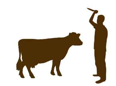 Muzaffarnagar: जंगल में गौवंश अवशेष मिलने से हंगामा, हिन्दू संगठन की सख्त कार्रवाई की मांग