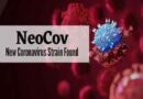 Neocov: चीनी वैज्ञानिकों ने चमगादड़ से उच्च संक्रमण के साथ नए प्रकार के Coronavirus  की चेतावनी दी