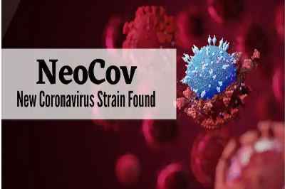 Neocov: चीनी वैज्ञानिकों ने चमगादड़ से उच्च संक्रमण के साथ नए प्रकार के Coronavirus  की चेतावनी दी