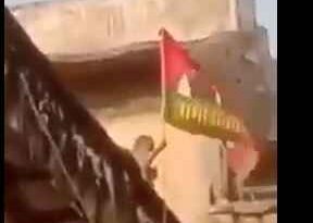 Up Assembly Election 2022Lअयोध्या में बंदर के सपा का झंडा उतारने का वीडियो वायरल