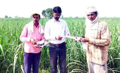 समाचार (Muzaffarnagar News) 6 Muzaffarnagar