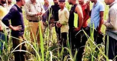 Muzaffarnagar News: किसी भी कीटनाशक के साथ यूरिया इत्यादि का मिश्रण न करें-देवेंद्र सिंह