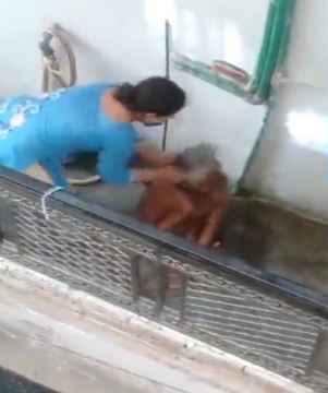 Kanpur News: अमानवीयता के साथ पीट रही हैवान बनी बहू , Viral