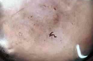 Muzaffarnagar नई मंडी क्षेत्र में पालिका द्वारा सप्लाई किया जा रहा गंदा पानी, Bjp सभासद विपुल की भी नहीं सुन रहे निरंकुश अधिकारी